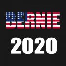 Bernie Sanders 2020 Flag Black Red 3x5Ft Feel The Burn President USA Banner New