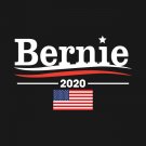 Bernie Sanders Flag 2020 President 3x5Ft Feel The Burn President USA Banner