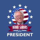 Feel The Burn President USA Bernie Sanders 2020 Flag 3x5Ft Banner Flag US