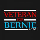 Veteran For Bernie Sanders 2020 Flag 3x5Ft Feel The Burn President USA Banner