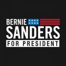 Feel The Burn President USA Bernie Sanders 2020 Flag 3x5Ft Banner
