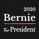 Bernie Sanders For President Flag 2020 Feel The Burn President USA 3x5Ft Banner