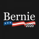 Bernie Sanders 2020 Flag President USA 3x5Ft Feel The Burn Banner