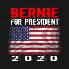 Bernie Sanders 2020 Flag 3x5Ft Feel The Burn President USA Banner