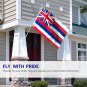 Hawaii State Flag - Hawaiian HI Flag with Brass Grommets 3X5Ft Banner USA