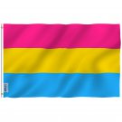 Fly Breeze Pansexual Pride Flag with Brass Grommets 3X5Ft Banner USA Polyester