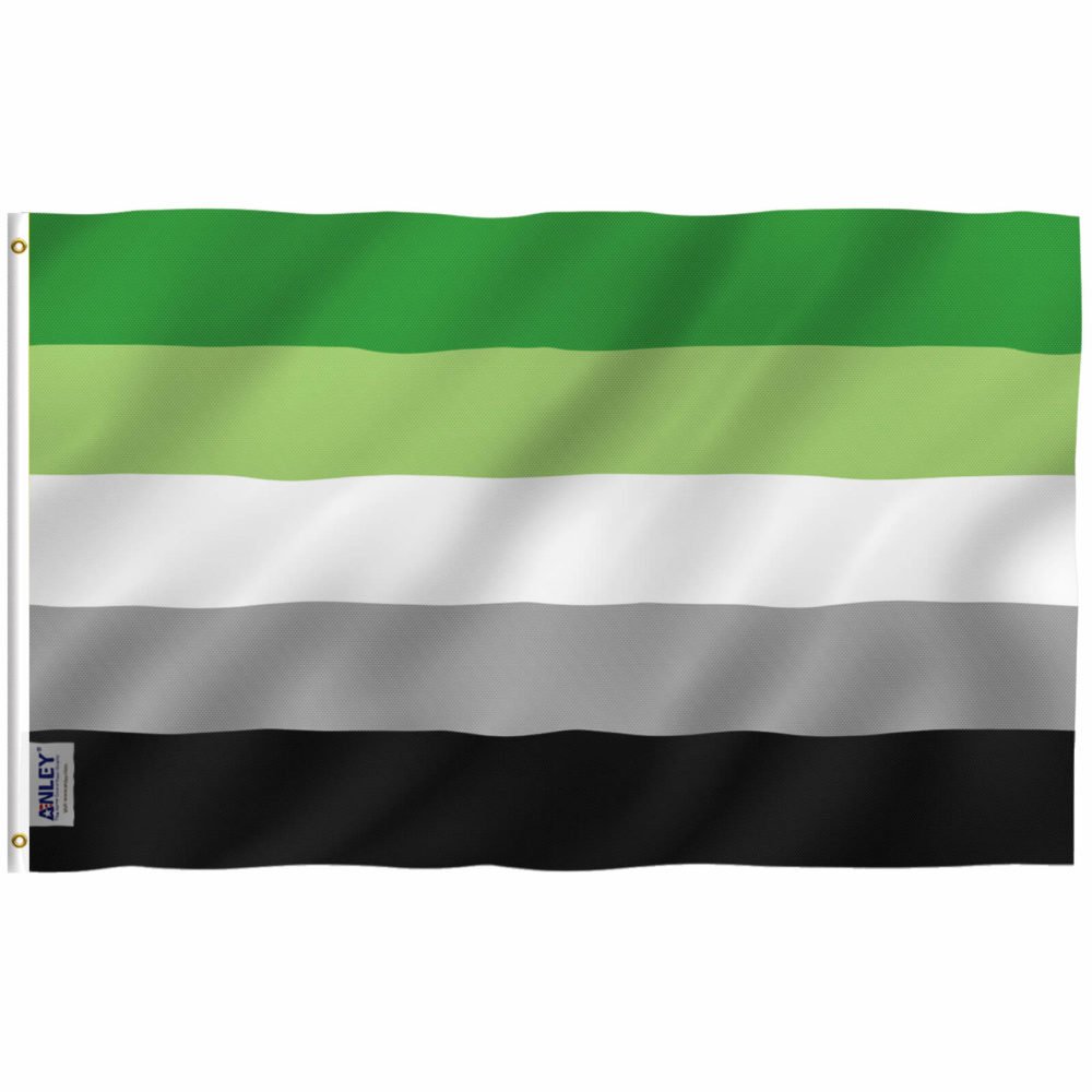 Fly Breeze Aromantic Pride Flag with Brass Grommets 3X5Ft Banner USA Polyester