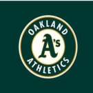 Arizona Diamondbacks Baseball Club 8 flag 3X5Ft Banner USA Polyester with Brass Grommets