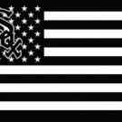 Chicago White Sox Black flag 3X5Ft Banner USA Polyester with Brass Grommets