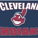 Cleveland Indians Baseball Club 2 flag 3X5Ft Banner USA Polyester with Brass Grommets