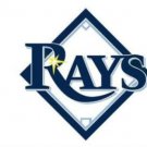 Tampa Bay Rays White US flag 3X5Ft Banner USA Polyester with Brass Grommets