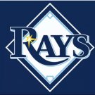 Tampa Bay Rays Blue flag 3X5Ft Banner USA Polyester with Brass Grommets