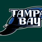 Tampa Bay Rays Logo flag 3X5Ft Banner USA Polyester with Brass Grommets