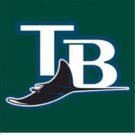 Tampa Bay Rays TB Logo flag 3X5Ft Banner USA Polyester with Brass Grommets
