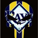 Tampa Bay Devil Rays flags 90x150cm Banner USA Polyester with Brass Grommets