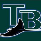 Tampa Bay Rays Blue US flags 90x150cm Banner USA Polyester with Brass Grommets