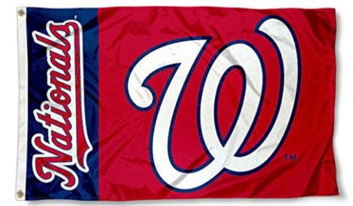 Washington Nationals US Flag 3X5Ft Banner USA Polyester with Brass Grommets