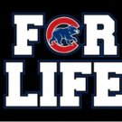 Chicago Cubs For Life Flag 3X5Ft Banner USA Polyester with Brass Grommets