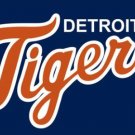 Detroit Tigers Baseball Club Orange-Blue Flag 3X5Ft Banner USA Polyester with Brass Grommets