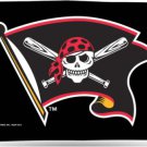 Pittsburgh Pirates Jolly Roger US Flag 3X5Ft Banner USA Polyester with Brass Grommets