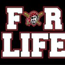 Pittsburgh Pirates For Life Flag 3X5Ft Banner USA Polyester with Brass Grommets