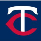 Minnesota Twins Logo Blue  Flag 3X5Ft Banner USA Polyester with Brass Grommets