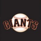 San Francisco Giants US Flag 3X5Ft Banner USA Polyester with Brass Grommets