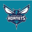 Charlotte Hornets Basketball Custom US Flag 3X5Ft Polyester Banner USA Digital Print
