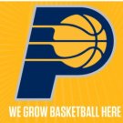 Indiana Pacers Custom US Sport Flag 3X5Ft Polyester Banner USA Digital Print