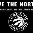 Toronto Raptors Custom US Flag 3X5Ft Polyester Banner USA Digital Print