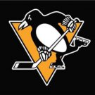 Pittsburgh Penguins Flag 3X5Ft Polyester Digital Print Banner USA