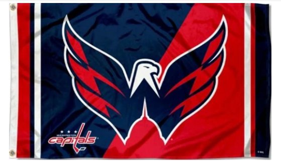 Washington Capitals Bald Eagle Flag 3X5Ft Polyester Digital Print Banner USA