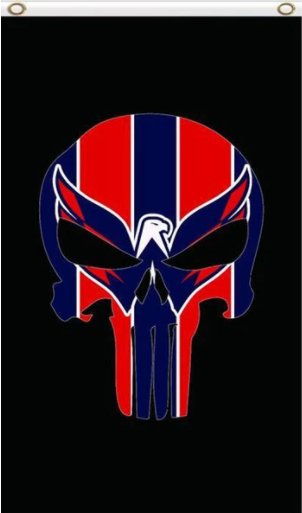 Washington Capitals Vertical Flag 3X5Ft Polyester Digital Print Banner USA