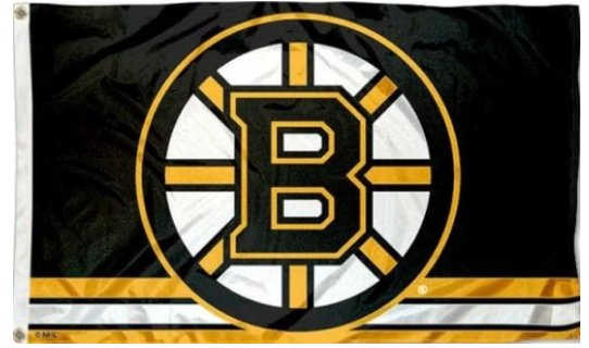 Boston Bruins Column Flag 3X5Ft Polyester Digital Print Banner USA
