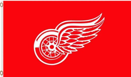 Detroit Red Wings Team Flag 3X5Ft Polyester Digital Print Banner USA