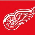 Detroit Red Wings Custom Flag 3X5Ft Polyester Digital Print Banner USA