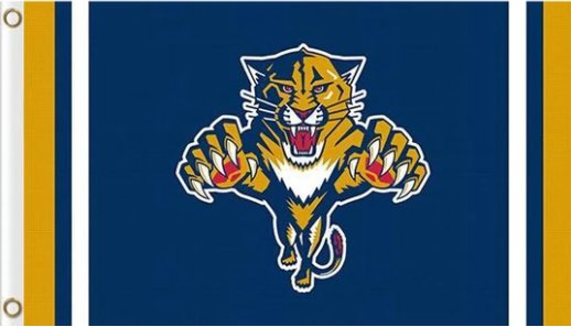 Florida Panthers Custom Flag 3X5Ft Polyester Digital Print Banner USA