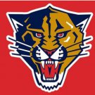 Florida Panthers Team Sport Flag 3X5Ft Polyester Digital Print Banner USA