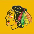 Chicago Blackhawks Custom Flag 3X5Ft Polyester Digital Print Banner USA