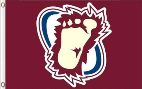 Colorado Avalanche Flag 3X5Ft Polyester Digital Print Banner USA