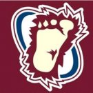 Colorado Avalanche Flag 3X5Ft Polyester Digital Print Banner USA
