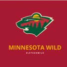 Minnesota Wild Team Flag 3X5Ft Polyester Digital Print Banner USA
