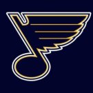 St. Louis Blues Team Flag 3X5Ft Polyester Digital Print Banner USA
