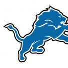 Detroit Lions Team Flag 3X5 Ft Polyester Banner USA 90x150cm