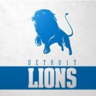Detroit Lions Team White Flag 3X5 Ft Polyester Banner USA 90x150cm