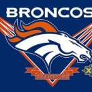 Denver Broncos Team Champions US Flag 3X5 Ft Polyester Banner USA 90x150cm