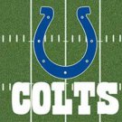 Indianapolis Colts Green Flag 3X5 Ft Polyester Banner USA 90x150cm