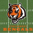 Cincinnati Bengals Green Flag 3X5 Ft Polyester Banner USA 90x150cm