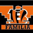 Cincinnati Bengals Familia Flag 3X5 Ft Polyester Banner USA 90x150cm