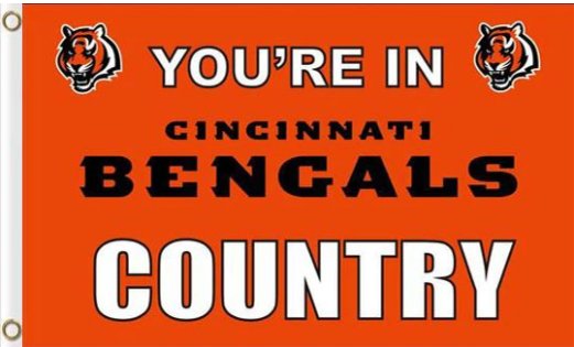 Cincinnati Bengals US Flag 3X5 Ft Polyester Banner USA 90x150cm